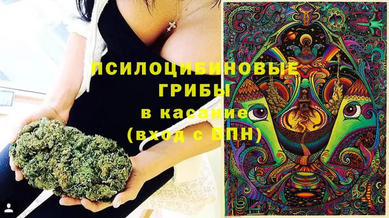 цена наркотик  Богородицк  Галлюциногенные грибы Magic Shrooms 